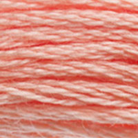 3824 - STRAWBERRY CHEW - DMC STRANDED EMBROIDERY THREAD