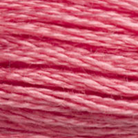 3833 - STRAWBERRY SORBET - DMC STRANDED EMBROIDERY THREAD